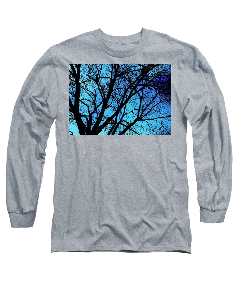 Winter Branch - Long Sleeve T-Shirt