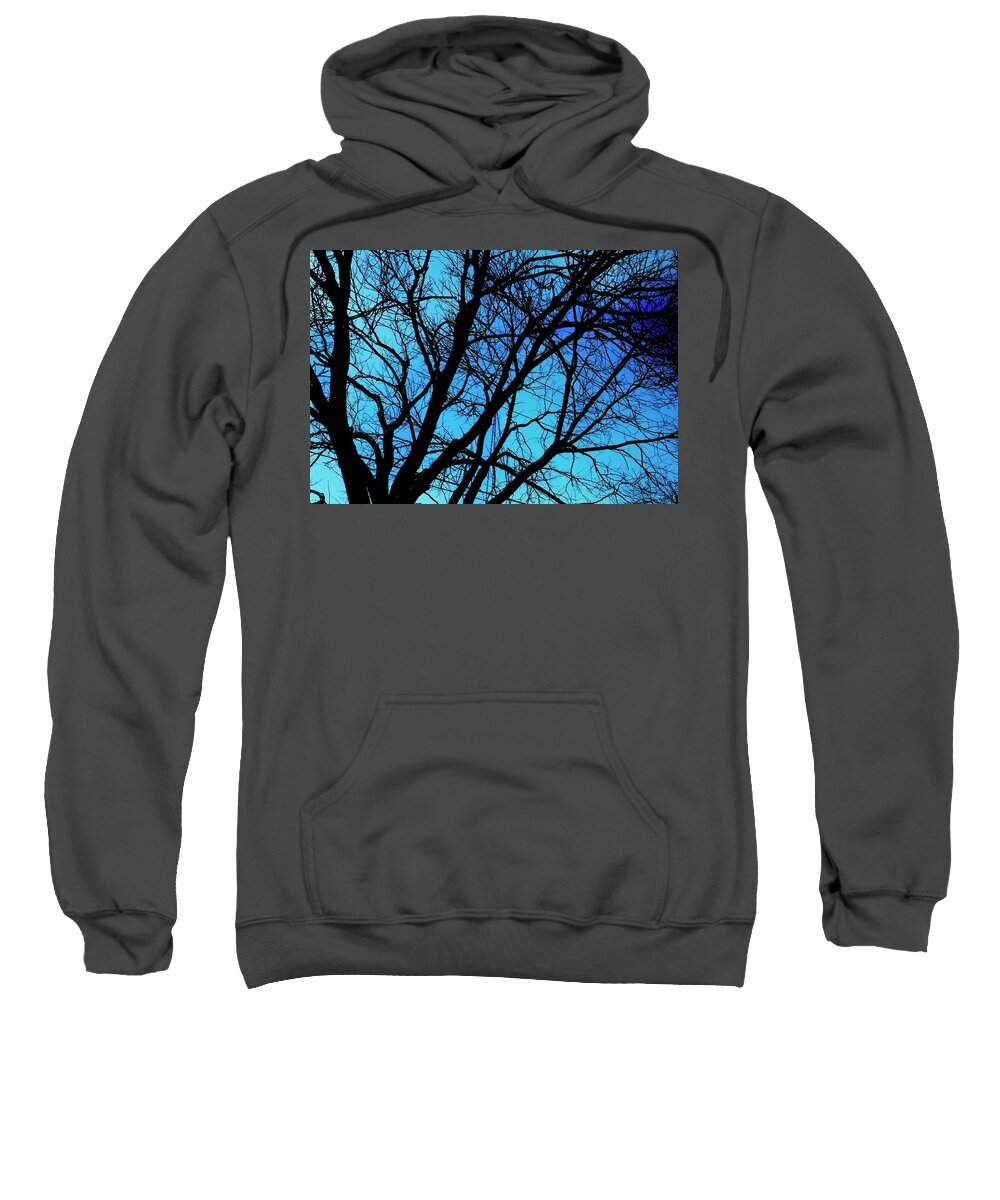 Winter Branch - Sweatshirt