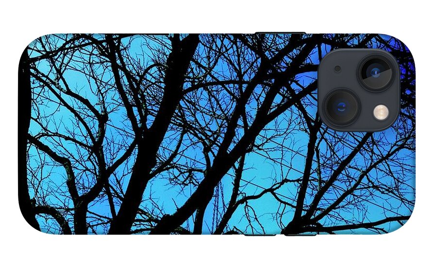 Winter Branch - Phone Case