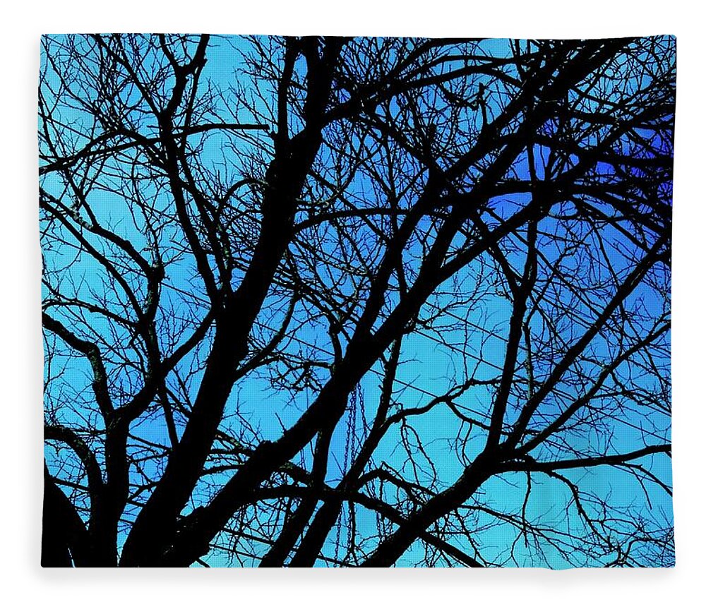 Winter Branch - Blanket
