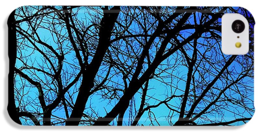 Winter Branch - Phone Case