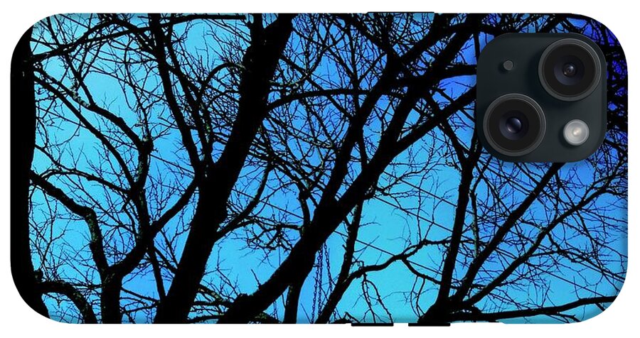 Winter Branch - Phone Case