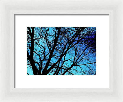 Winter Branch - Framed Print