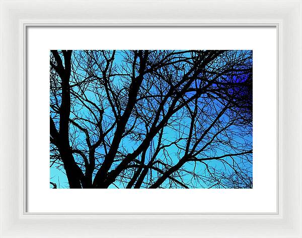 Winter Branch - Framed Print