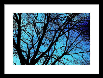 Winter Branch - Framed Print
