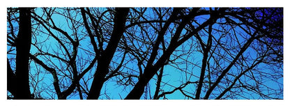 Winter Branch - Yoga Mat