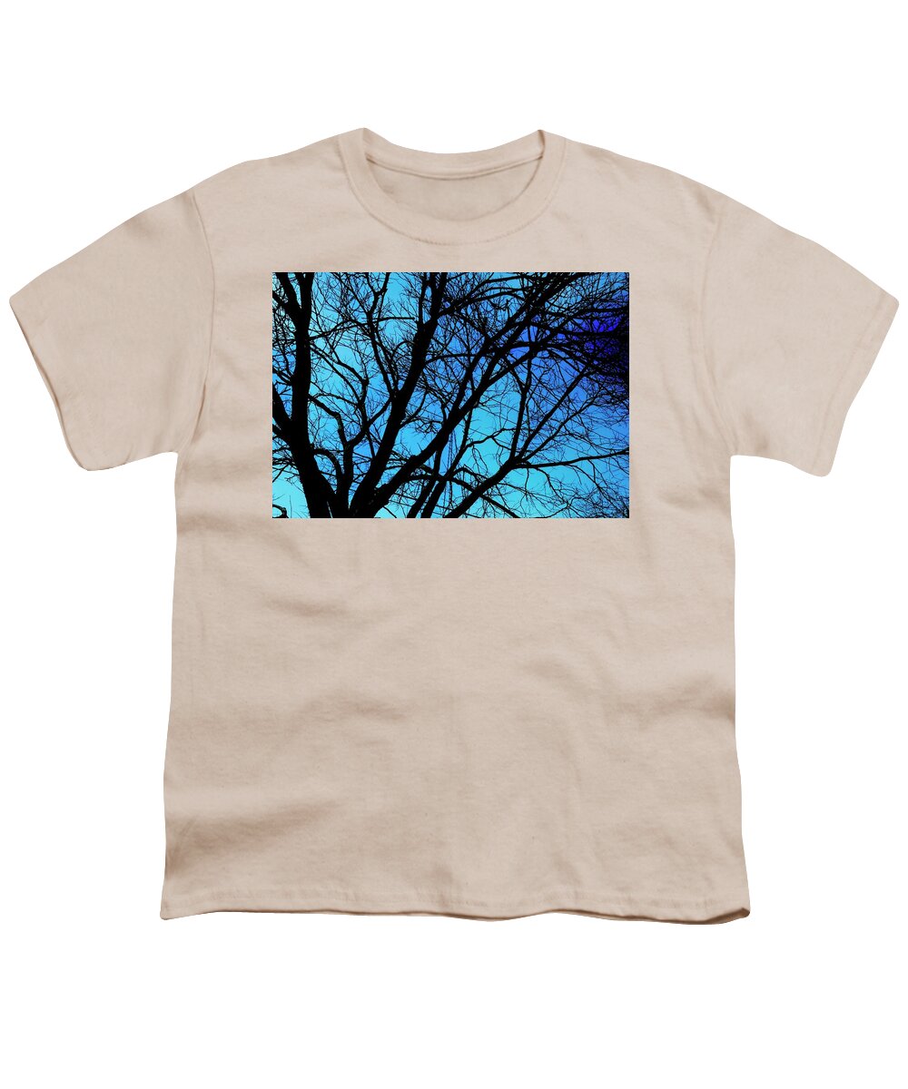 Winter Branch - Youth T-Shirt