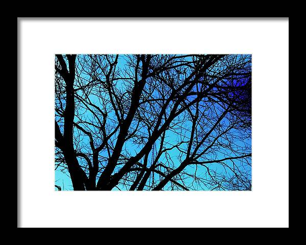 Winter Branch - Framed Print