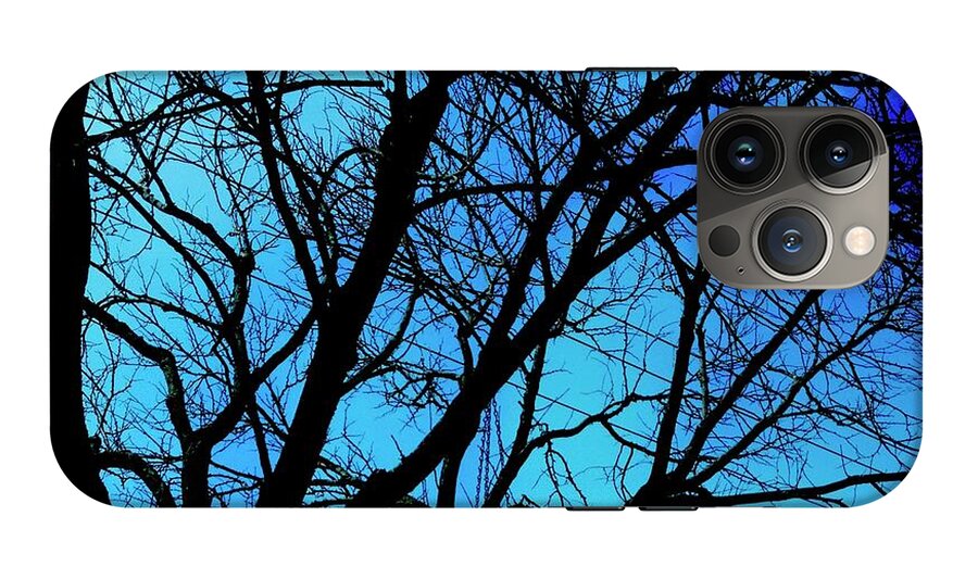 Winter Branch - Phone Case