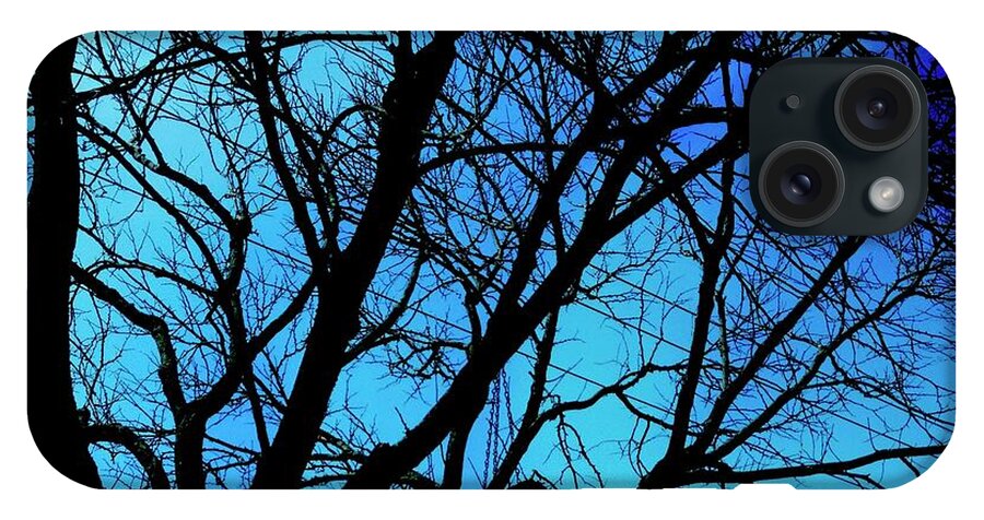 Winter Branch - Phone Case