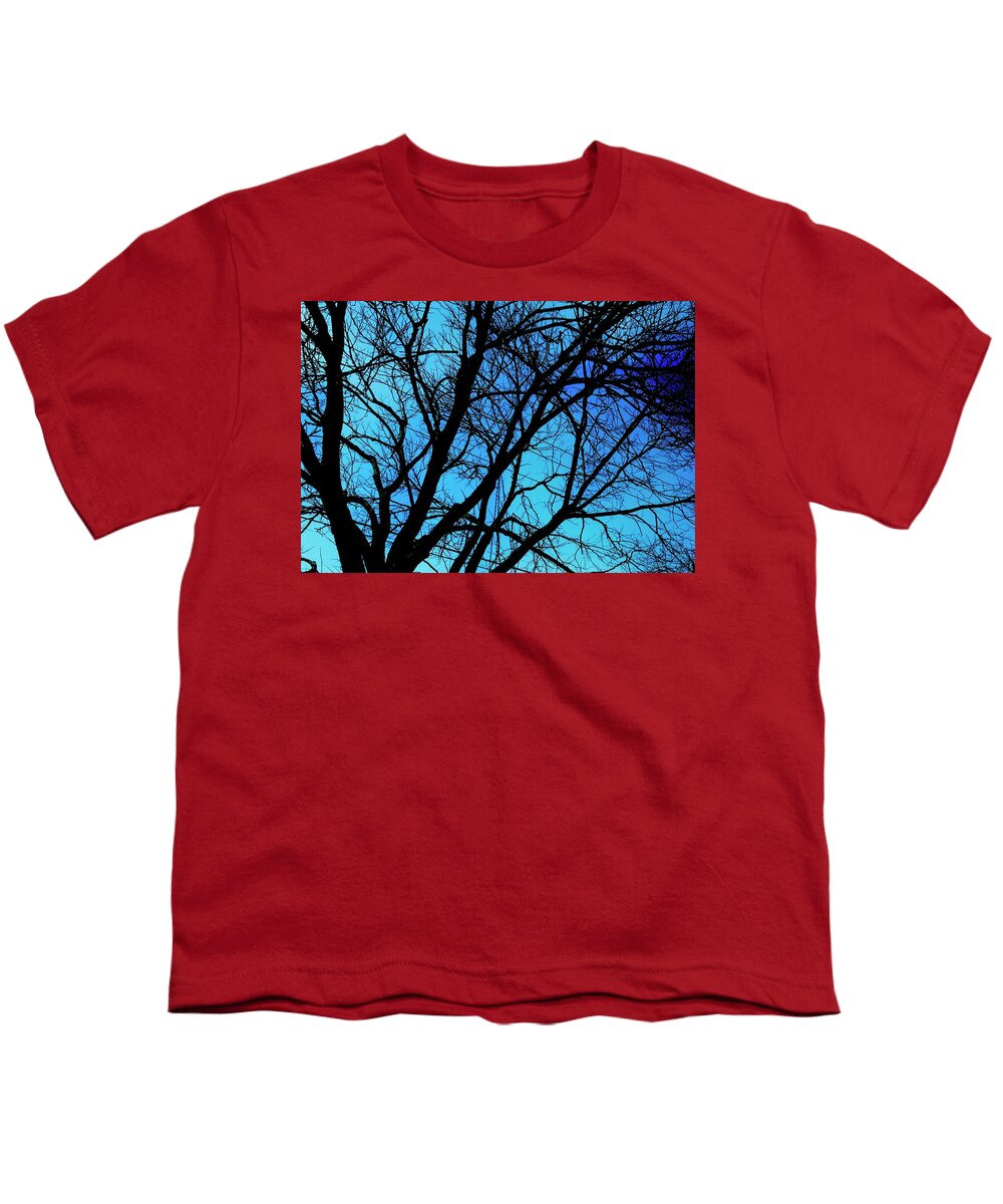 Winter Branch - Youth T-Shirt