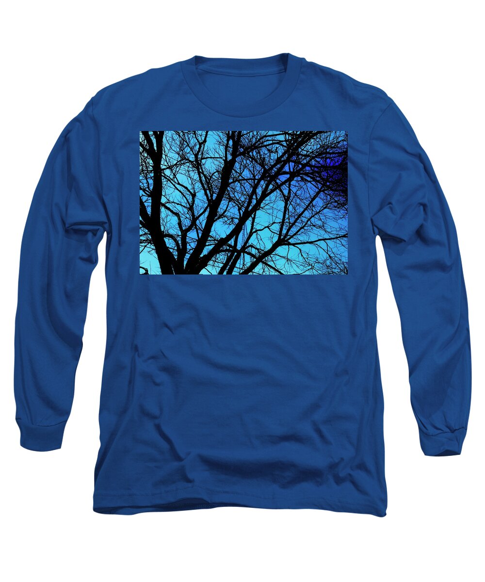 Winter Branch - Long Sleeve T-Shirt
