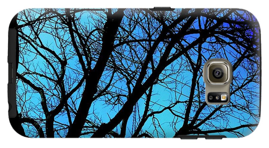 Winter Branch - Phone Case