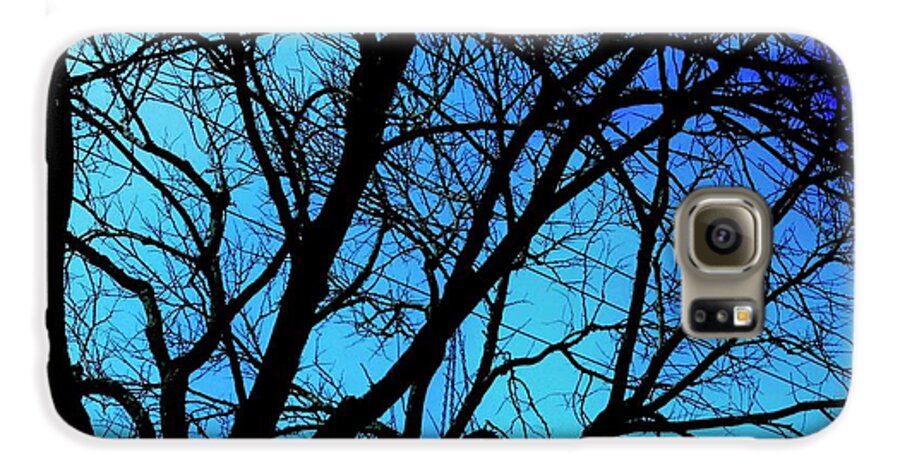 Winter Branch - Phone Case