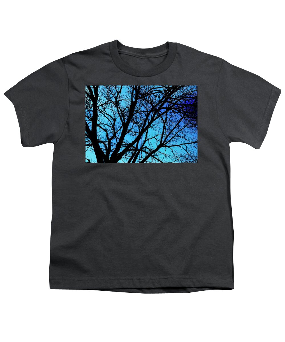 Winter Branch - Youth T-Shirt