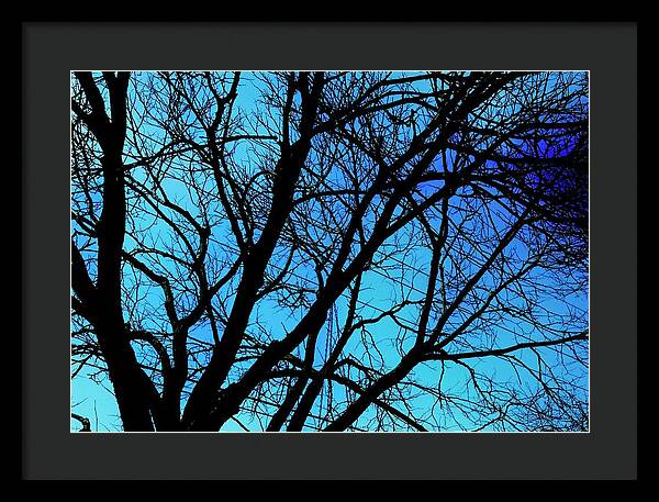 Winter Branch - Framed Print