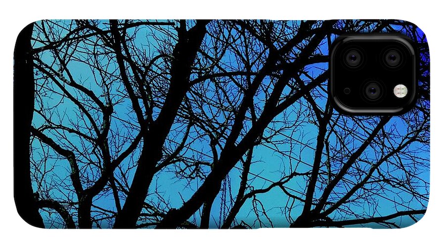 Winter Branch - Phone Case