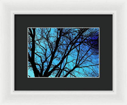 Winter Branch - Framed Print