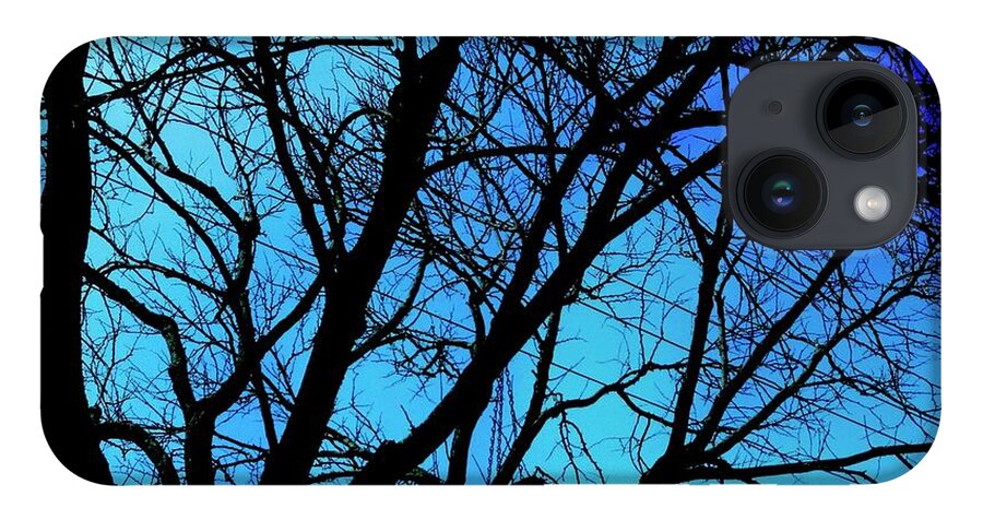 Winter Branch - Phone Case