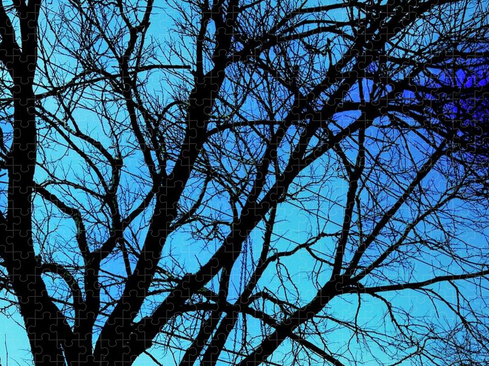 Winter Branch - Puzzle