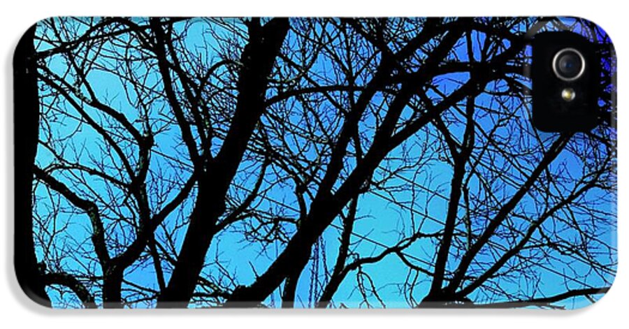 Winter Branch - Phone Case
