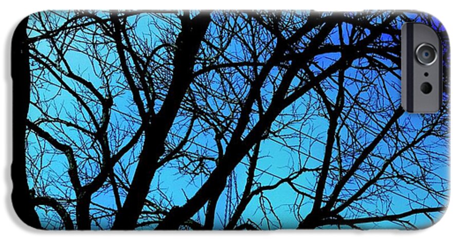 Winter Branch - Phone Case