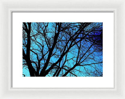 Winter Branch - Framed Print