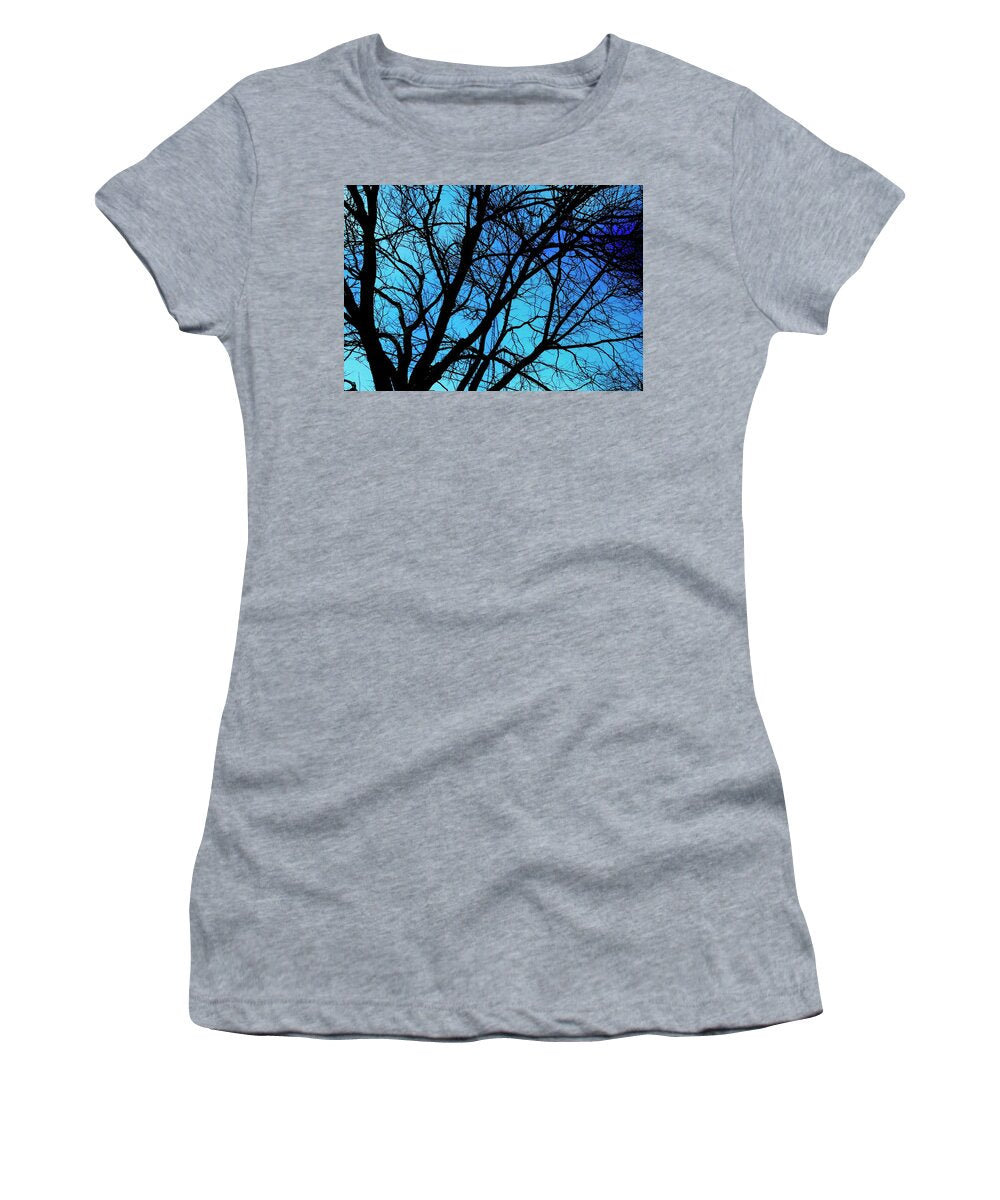 Winter Branch - Women's T-Shirt