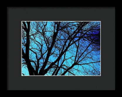 Winter Branch - Framed Print
