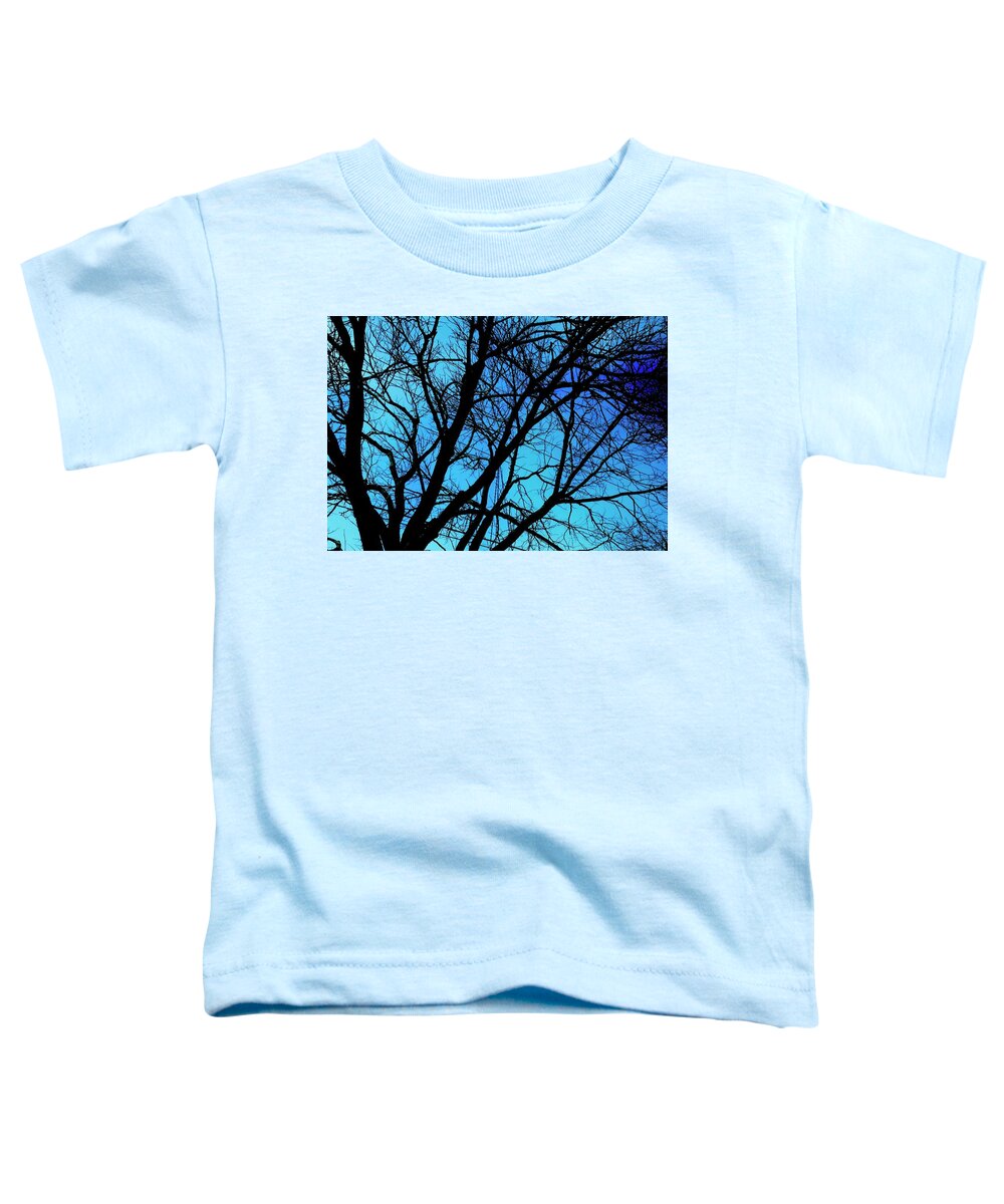 Winter Branch - Toddler T-Shirt