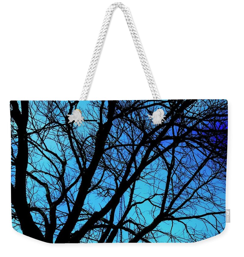 Winter Branch - Weekender Tote Bag