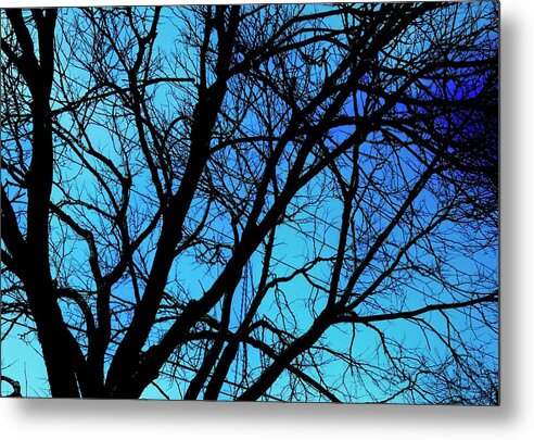 Winter Branch - Metal Print