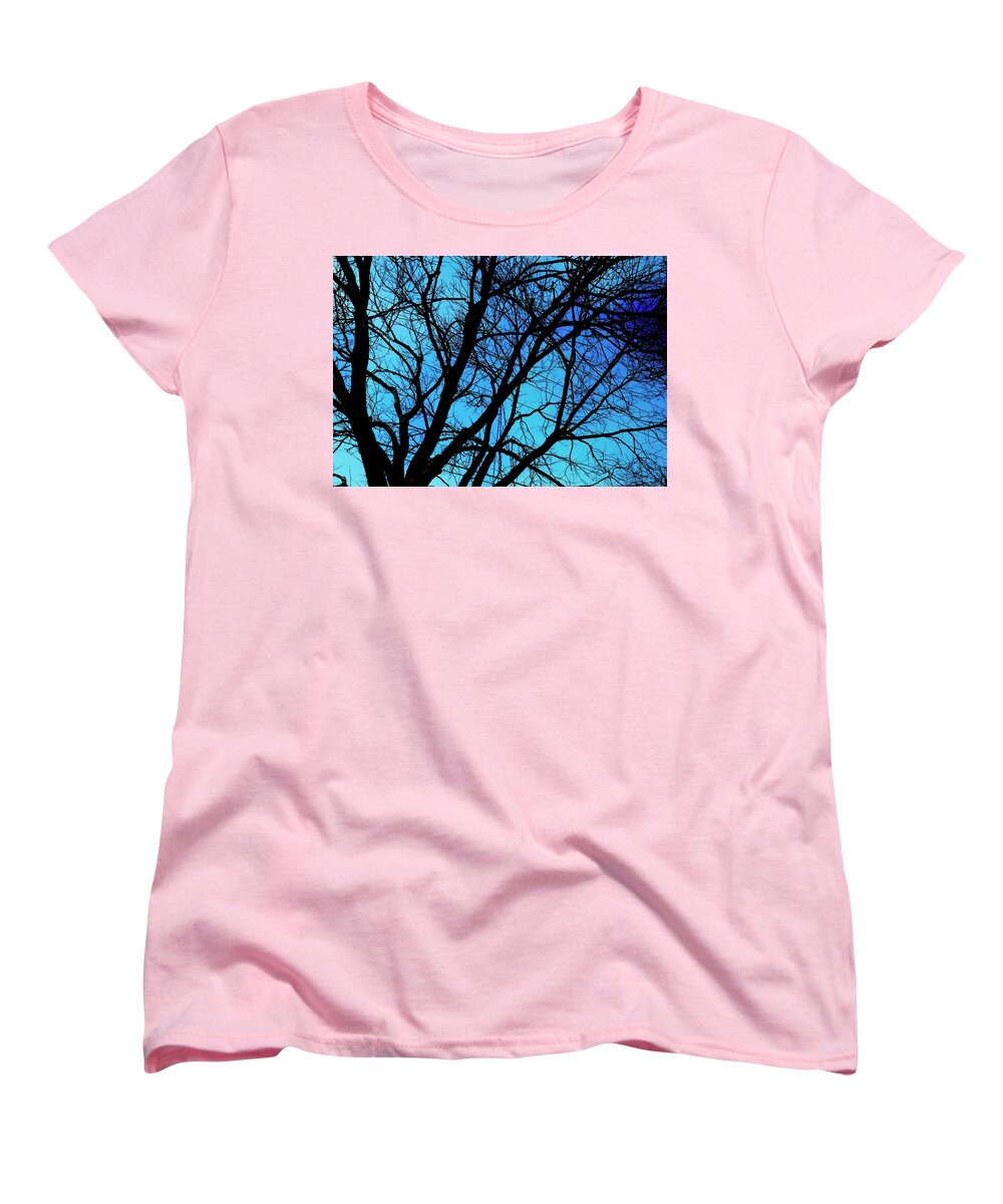 Winter Branch - Women's T-Shirt (Standard Fit)