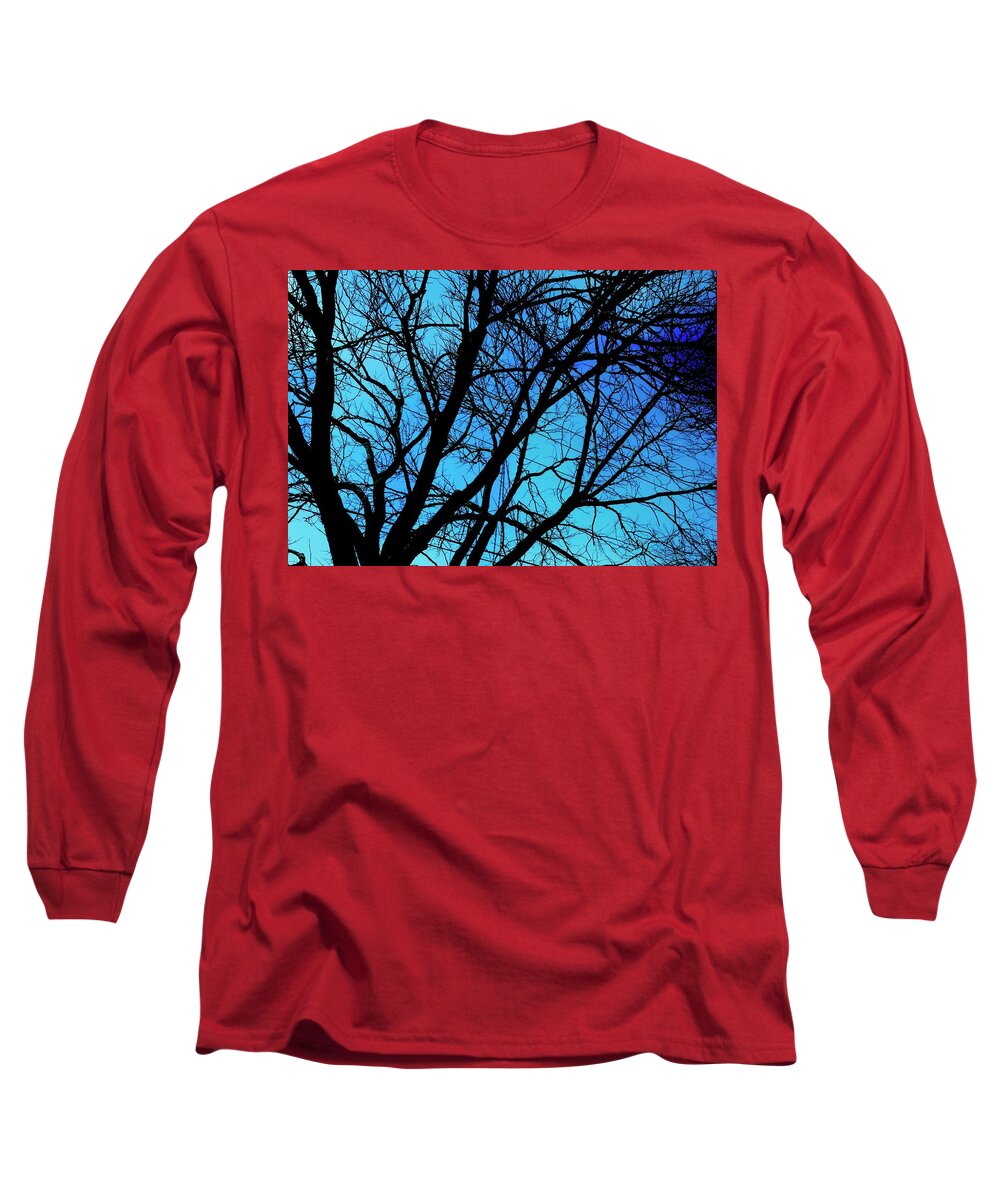 Winter Branch - Long Sleeve T-Shirt