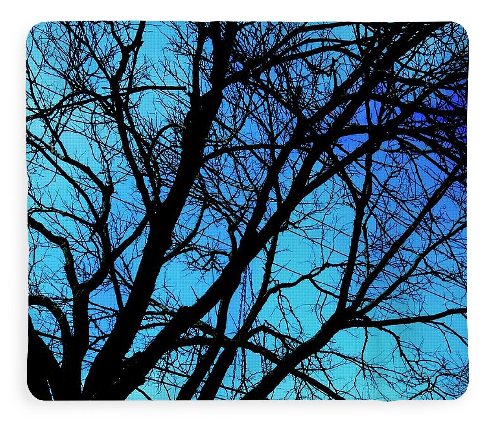 Winter Branch - Blanket