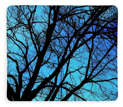 Winter Branch - Blanket