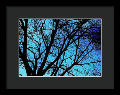 Winter Branch - Framed Print