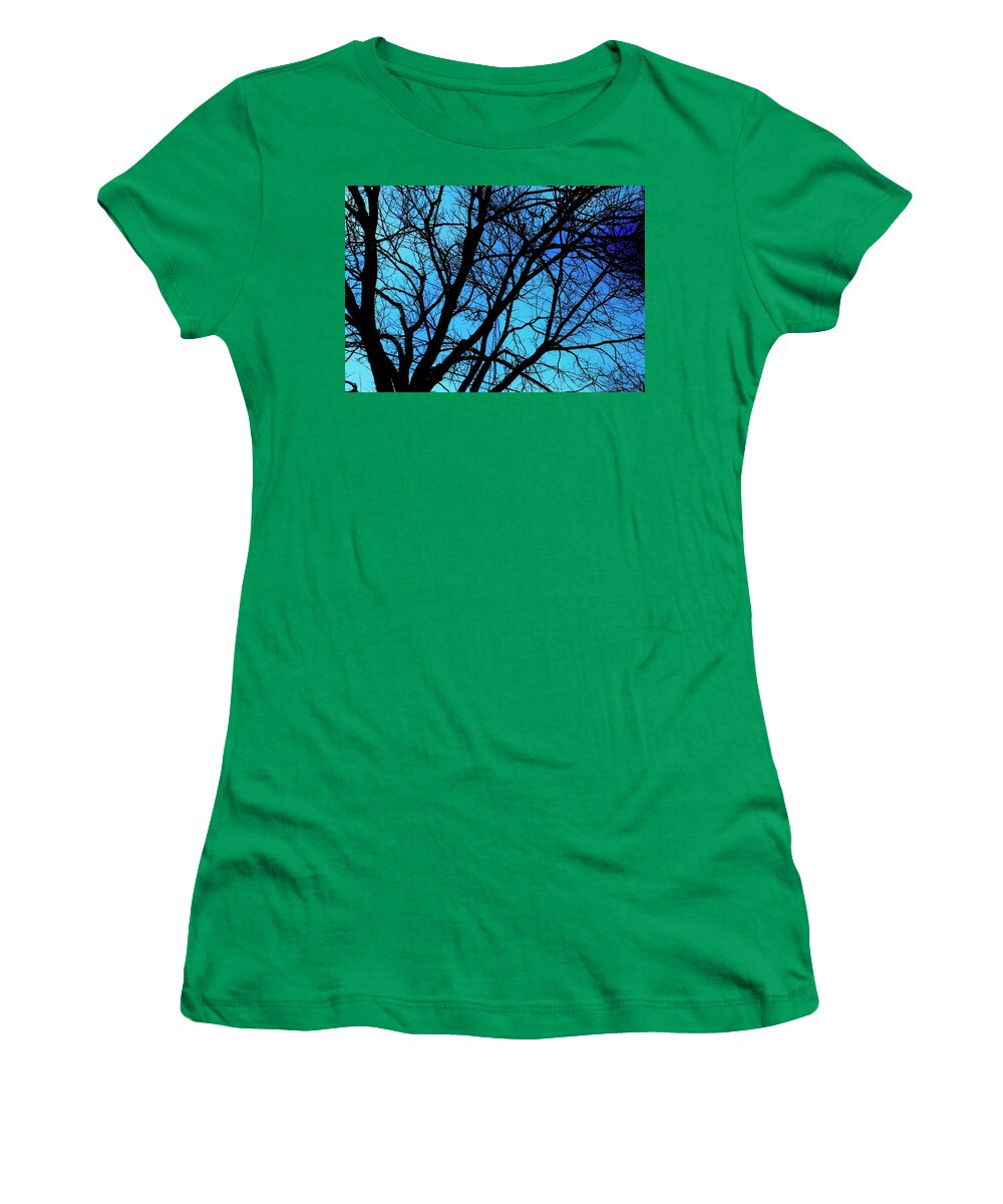 Winter Branch - Women's T-Shirt