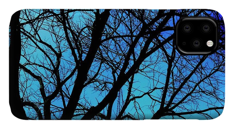 Winter Branch - Phone Case