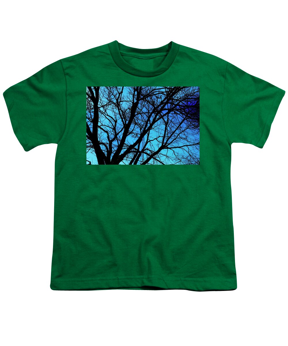 Winter Branch - Youth T-Shirt