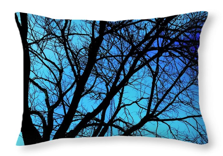 Winter Branch - Throw Pillow