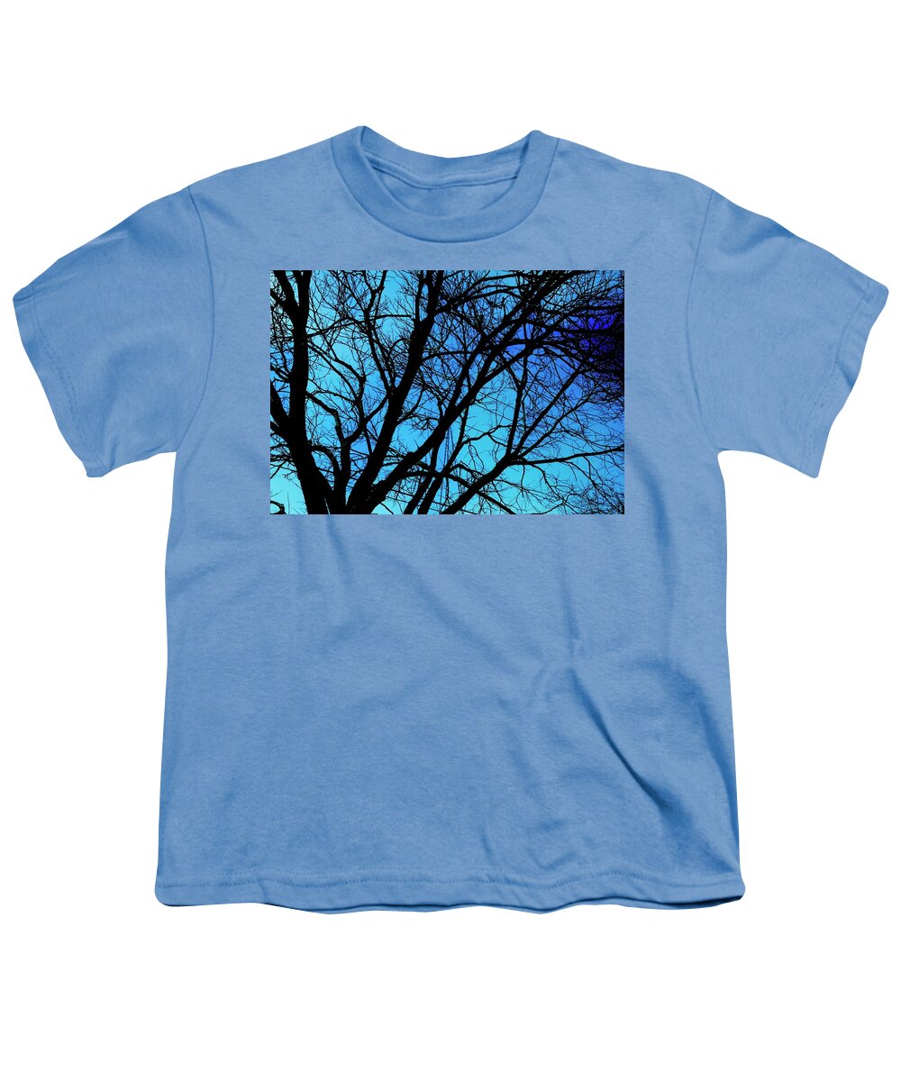 Winter Branch - Youth T-Shirt