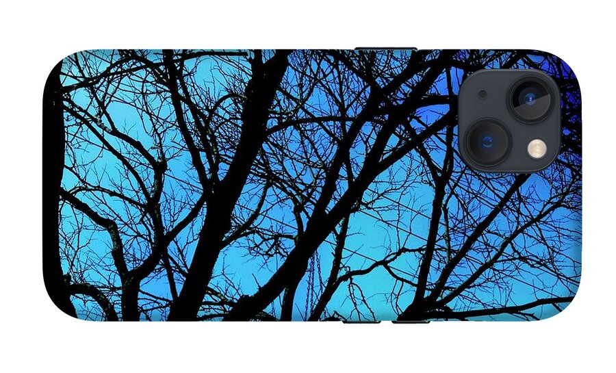 Winter Branch - Phone Case