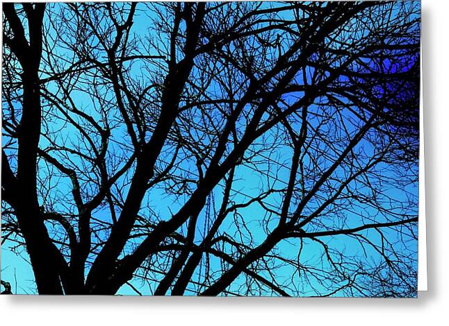 Winter Branch - Greeting Card