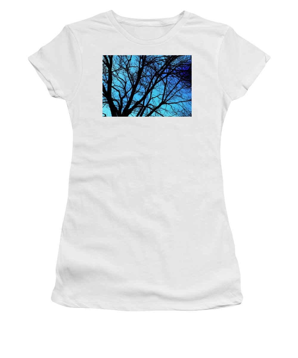 Winter Branch - Women's T-Shirt