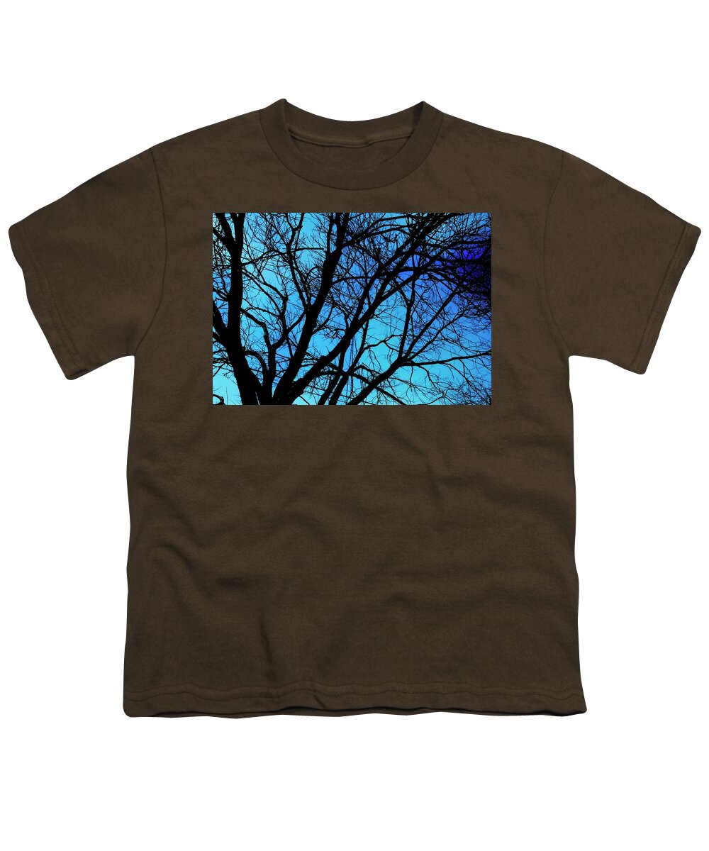 Winter Branch - Youth T-Shirt