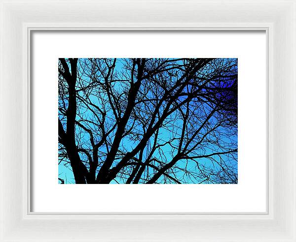 Winter Branch - Framed Print