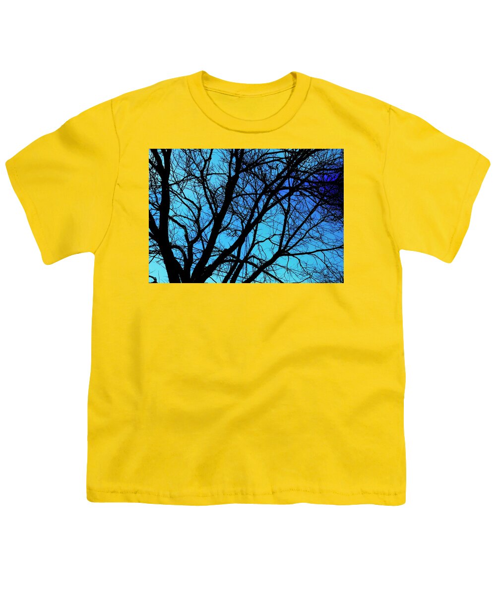 Winter Branch - Youth T-Shirt