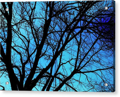 Winter Branch - Acrylic Print