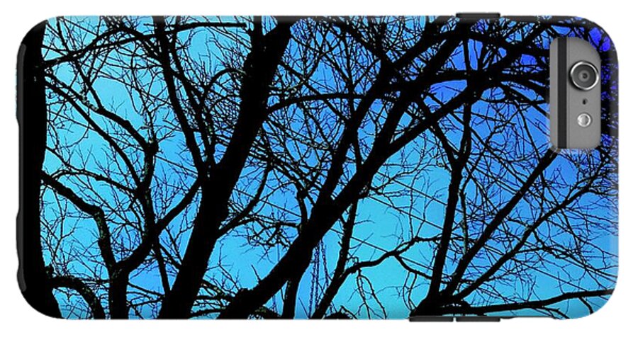 Winter Branch - Phone Case
